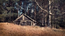 Shed my shed ... / ***