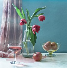 With tulips / ***