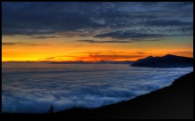 Another dawn / ***