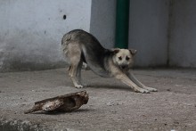 &nbsp; / ...........