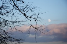 moon / Moscow