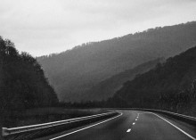 Homeward Bound / ***