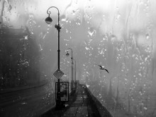 I returned to my town .... / ***