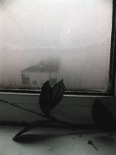 In a strange land / ***