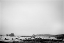 Vilejka / ***