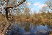 Spring landscape / **********