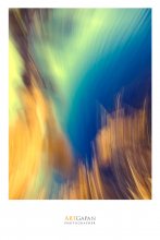‎[ Amazing Grass ] / ***