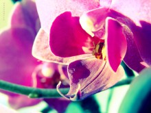 &nbsp; / **************