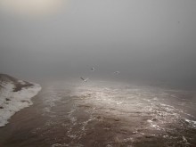 High water / ***