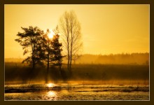 Morning vom Fass / ********