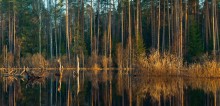 Evening Mirror flood / ***