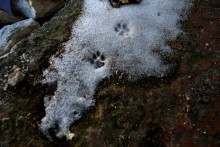Farewell to winter / ***