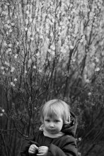- Victoria - / ***