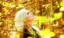 Im Wald / *************