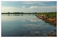April evening on the Rhine / ***