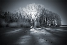 winter scenery / ***