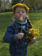 Dandelion / ***