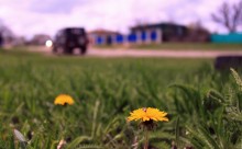 Frühling / ......