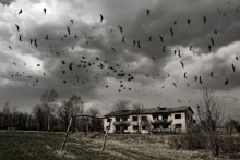 In the windows of the wind / ***