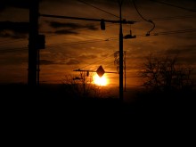 Sunset on the avenue / ***