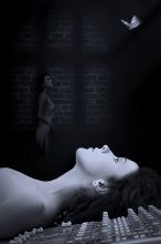 elusive as the music / ***