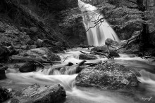 Slow Water / ***