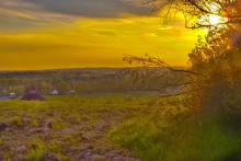 warm evening / ***