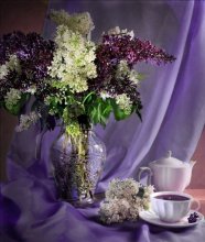Lilac Tea / ***********