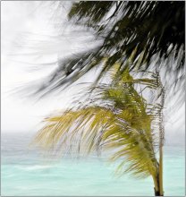 Wind / ***