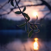 On the sunset / **************
