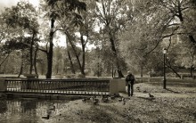 The Old Man and the ducks / ***