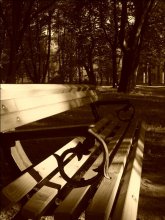 Early morning hot summer / ***