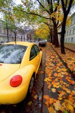 Autumn in Pushkin. / ***