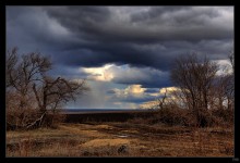 spring / ***