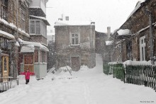 Odessa yard in winter / ***