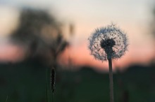 The last time admiring the sunset / *******