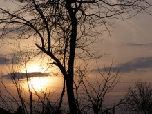 Sunset / ***