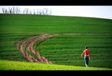 In the field / ***