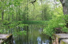 Net ponds ... / .........