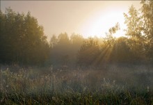 Foggy morning. / ,,,,,,,