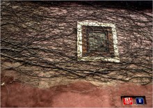 Lace / ***
