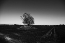 Two paths / ................