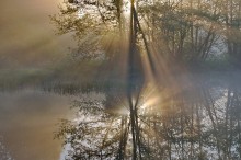 Battle of shades ... / .......