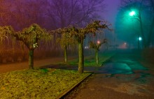 Night colors / ***