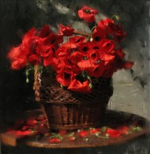 poppy / **************************