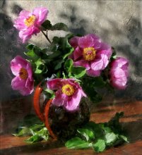 wild peonies / *************************