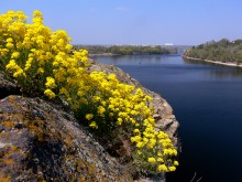 Spring has come / ***