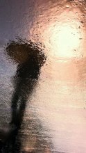 Light rain dreams / ***