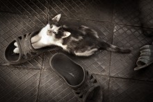 Size does matter / .....