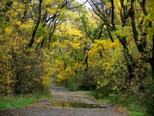 After the rain / ***